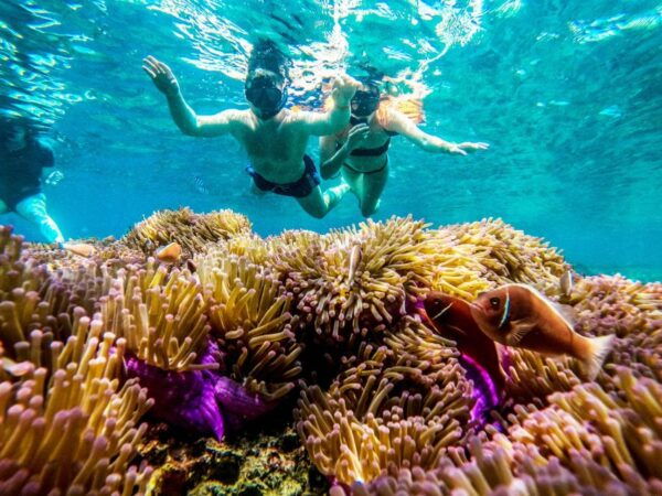 Koh Tao: Koh Nangyuan and the Hidden Bays Trip by the Oxygen - Customer Reviews