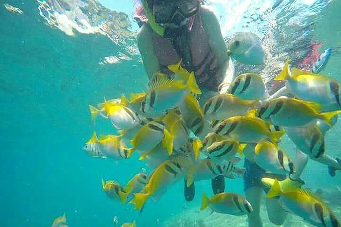 Koh Tao & Koh Nangyuan - Meeting and Pickup Details