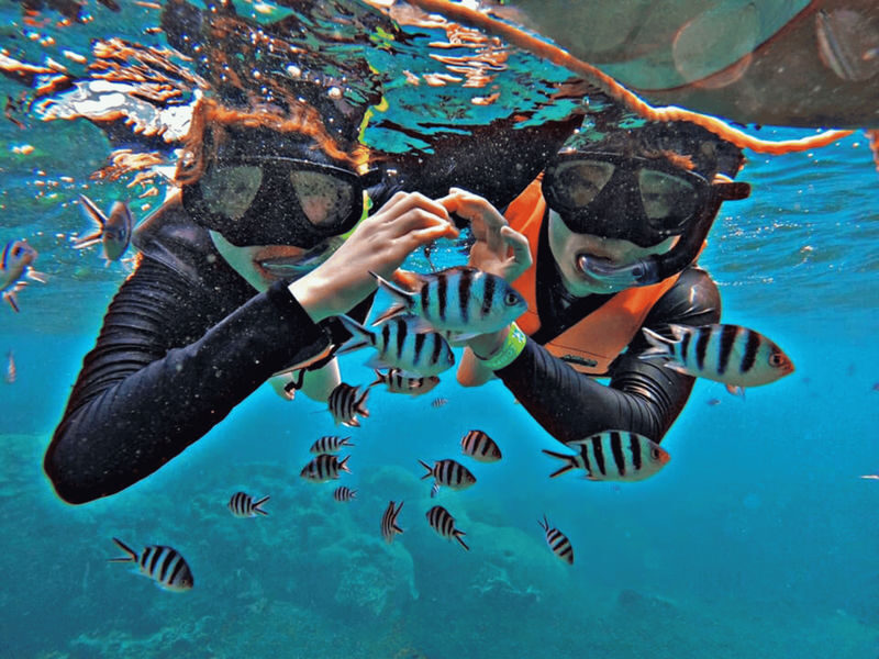 Koh Tao & Koh Nangyuan Full-Day Speedboat Snorkeling Trip - Who should book this trip?