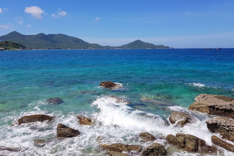 Koh Tao & Koh Nangyuan Half-Day Guided Snorkeling Experience - Choosing morning, afternoon or a smaller group