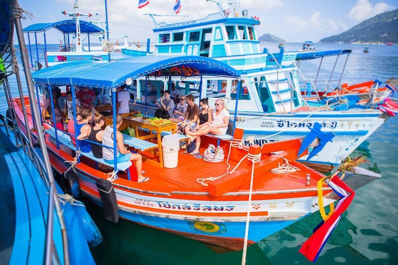 Koh Tao & Koh Nangyuan Half-Day Guided Snorkeling Experience - What the crew and service add