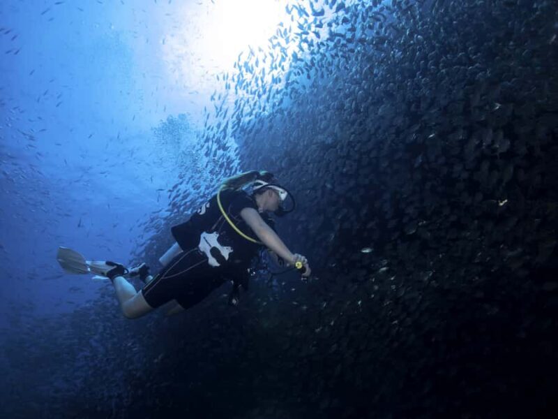 Koh Tao: Private Basic Diver Experience with 2 Dives - Discover the Underwater World of Koh Tao with a Private Basic Diver Experience