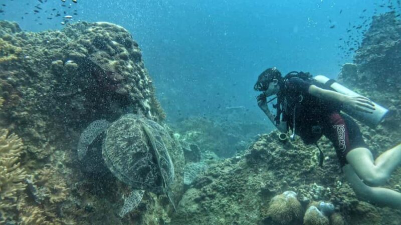 Koh Tao: SCUBA Open water certification - What Makes This Course Stand Out?