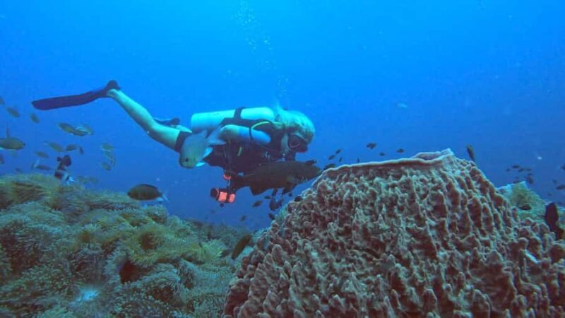Koh Tao: SCUBA Open water certification - Authentic Insights from Reviews