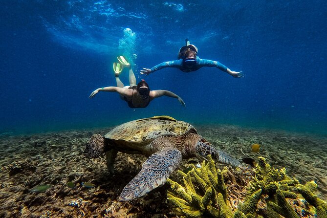 Koh Tao Snorkeling and Island Hopping Tour (Private) - Tour Highlights