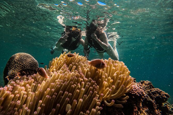 Koh Tao Snorkeling and Island Hopping Tour (Private) - Pricing and Discounts