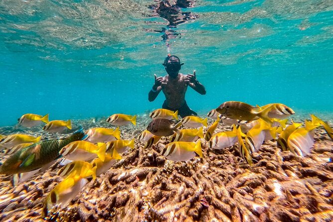 Koh Tao Snorkeling and Island Hopping Tour (Private) - Island Hopping Itinerary
