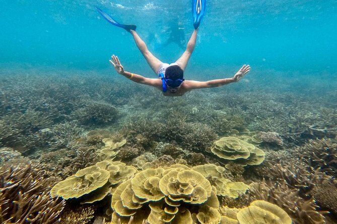 Koh Tao Snorkeling and Island Hopping Tour (Private) - Common Questions