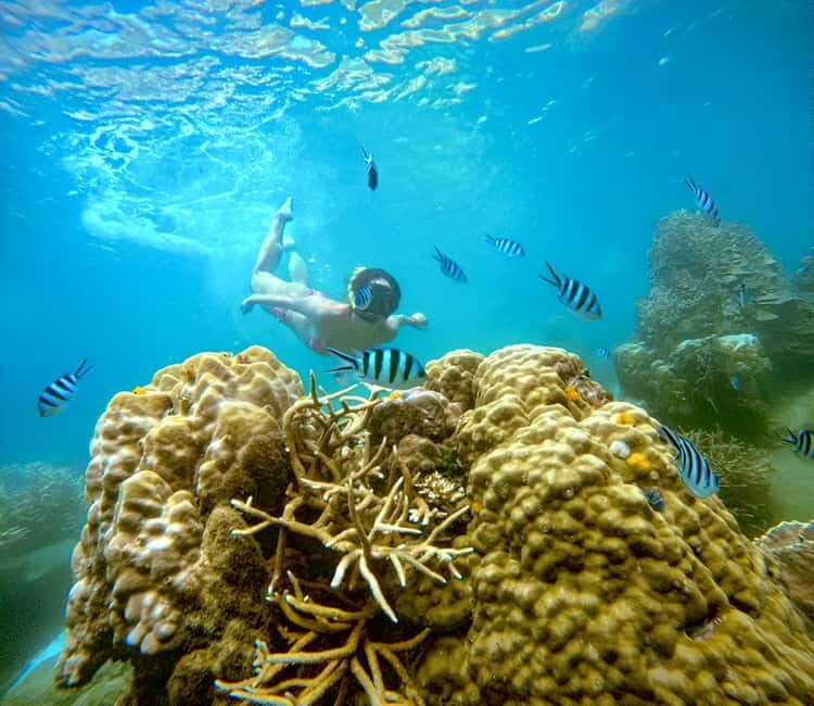 Koh Tao: Snorkeling Trip to Nang Yuan Island & Hidden Bays - A Dive Into the Experience