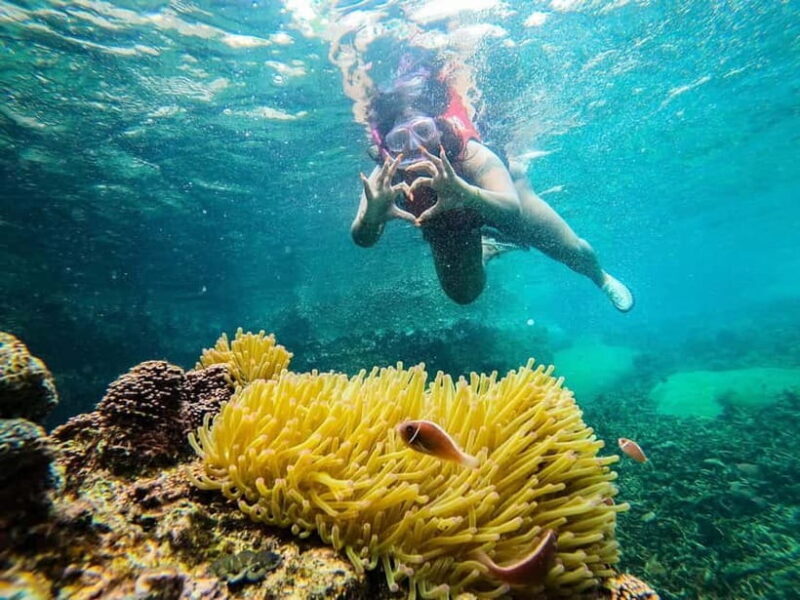 Koh Tao: Underwater Gems, Island Hopping & Snorkel Adventure - Frequently Asked Questions