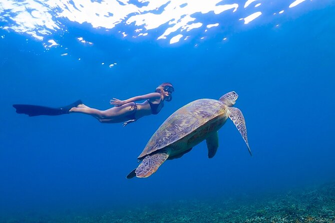 Koh Tao Viewpoint and Snorkeling Tour - Overview and Pricing