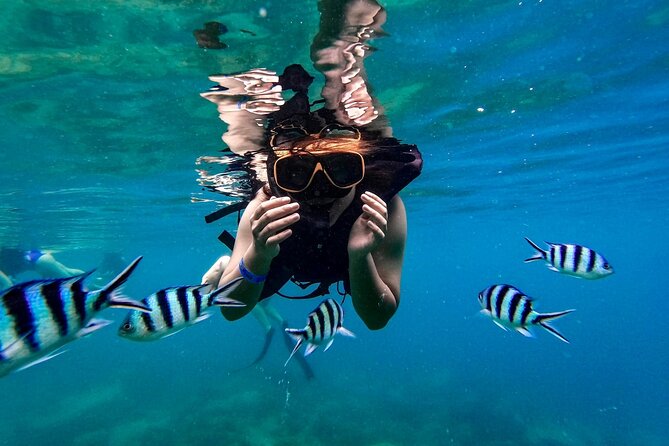 Koh Tao Viewpoint and Snorkeling Tour - Inclusions