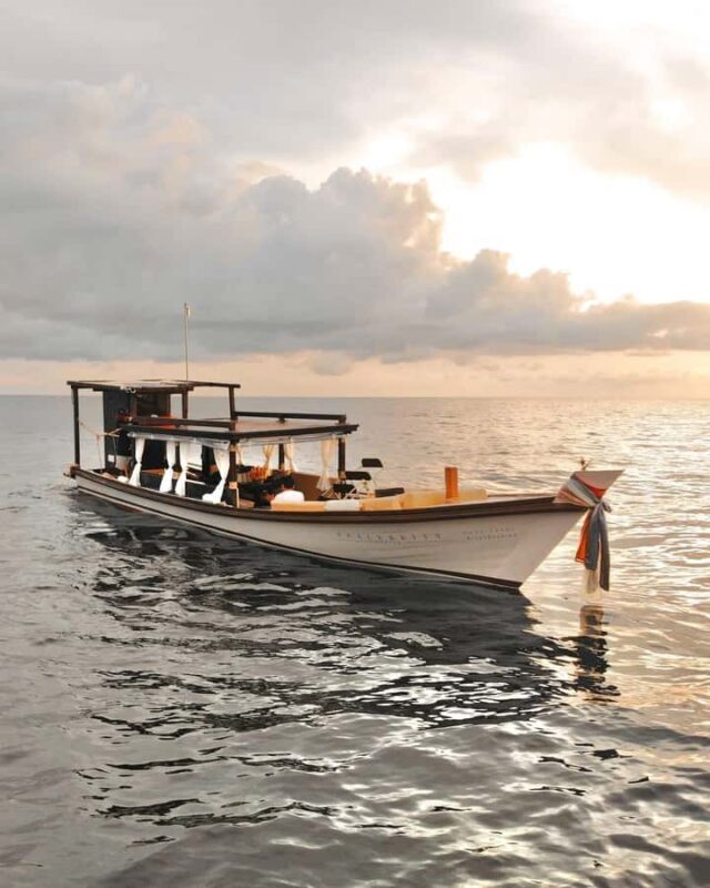 Koh Tao: VIP Private Long-tail or Speedboat Exclusive Tour - Why Choose This Tour?