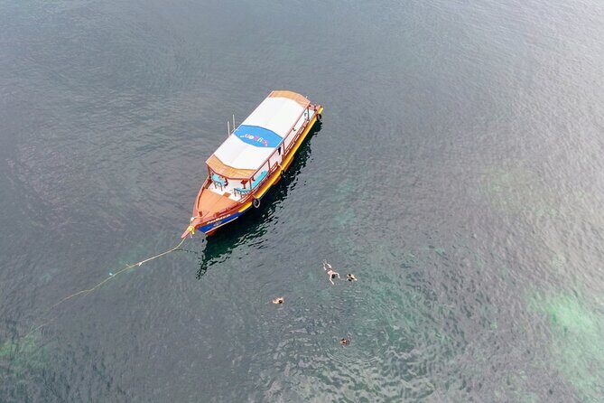 Koh Tao's First Light Snorkel Adventure with Oxygen Tours - What’s Included and What to Consider