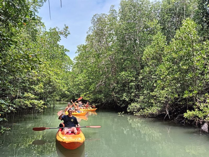 Koh Yao Yai Half-Day Mangrove & Village Kayaking Tour - What to know before you book