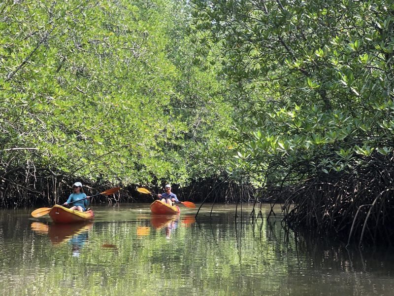 Koh Yao Yai Half-Day Mangrove & Village Kayaking Tour - Nasri’s local knowledge adds context