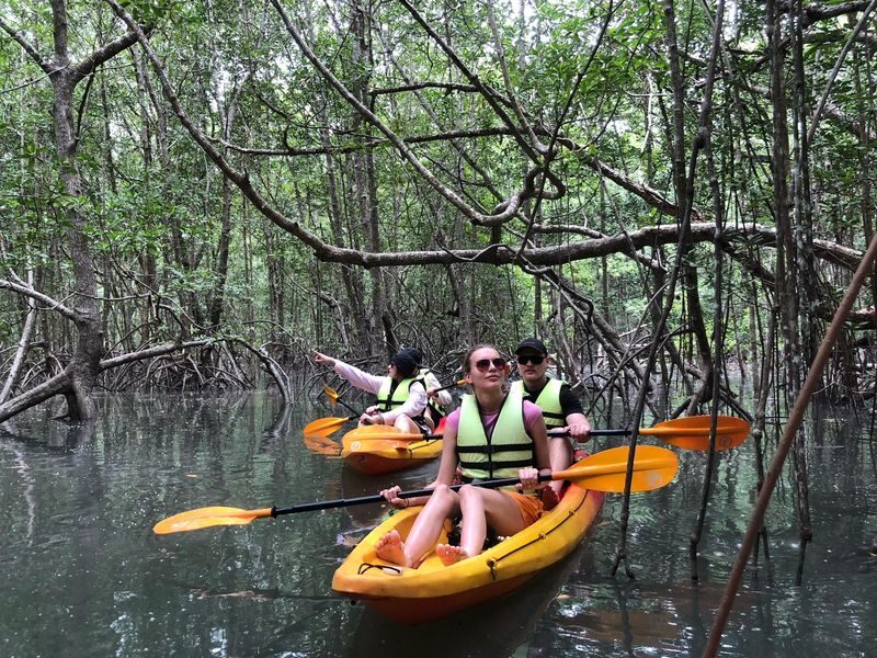 Koh Yao Yai Half-Day Mangrove & Village Kayaking Tour - Is $73.29 good value?