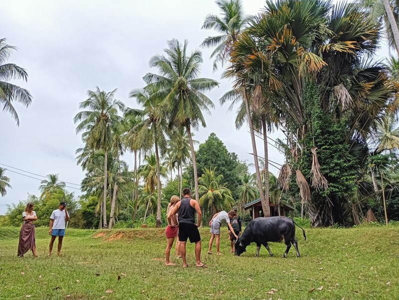 Koh Yao Yai Half-Day Mangrove & Village Kayaking Tour - Who will enjoy this outing most