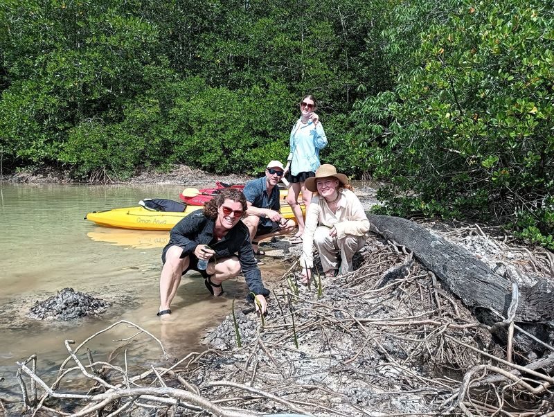 Koh Yao Yai Half-Day Mangrove & Village Kayaking Tour - Should you book the Koh Yao Yai kayak tour?