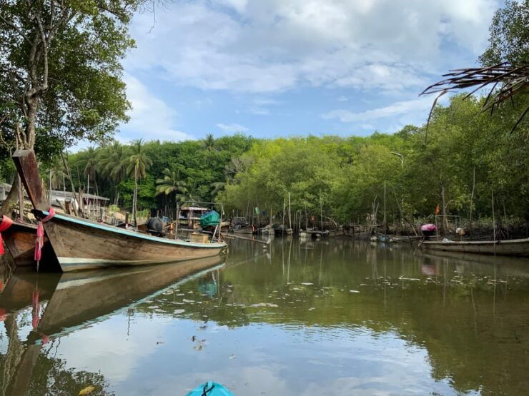Koh Yao Yai: Klong Hia Mangrove Kayaking - Important Information and Guidelines