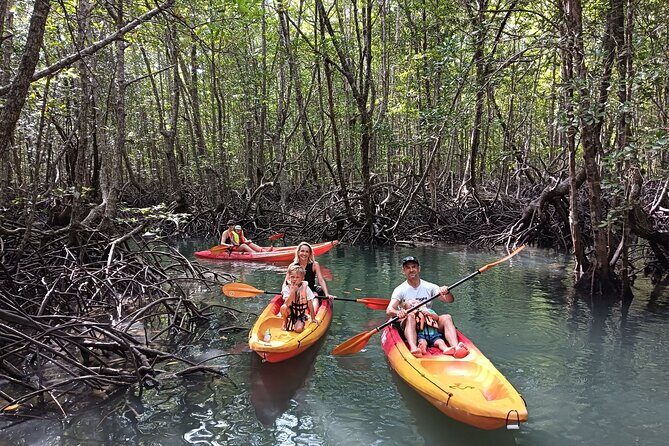 Koh Yao Yai Mangrove Forest Kayak with Local Life Discovery Tour - Good To Know