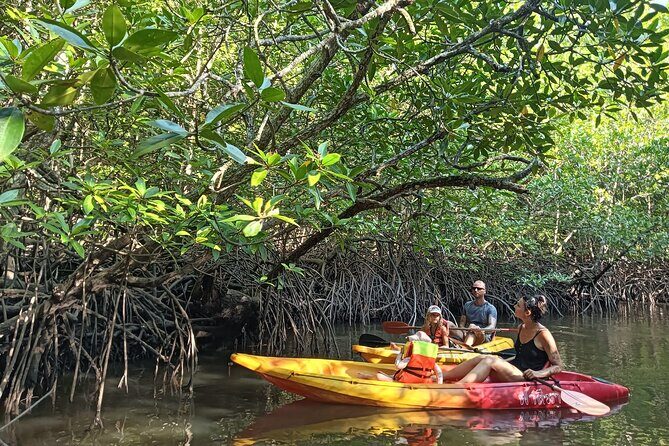 Koh Yao Yai Mangrove Forest Kayak with Local Life Discovery Tour - An Authentic Look at the Kayak and Village Experience