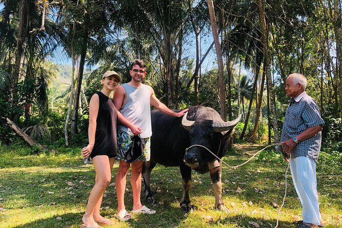 Koh Yao Yai Mangrove Forest Kayak with Local Life Discovery Tour - FAQ