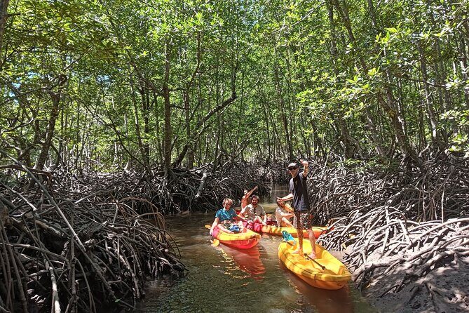 Koh Yao Yai Mangrove Forest Kayaking and Local Village with Lunch - The Value of This Experience