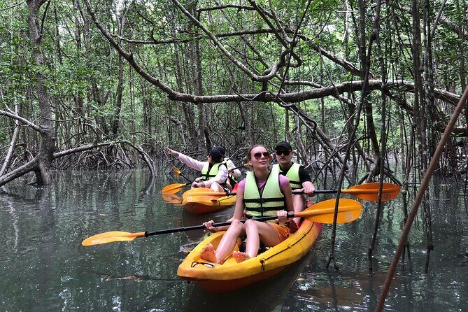 Koh Yao Yai Mangrove Forest Kayaking and Local Village with Lunch - What’s Included and What’s Not — The Practical Details