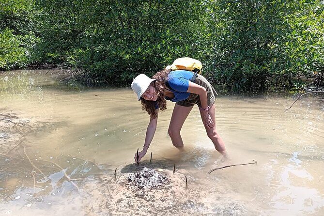 Koh Yao Yai Mangrove Forest Kayaking and Local Village with Lunch - The Sum Up: Who Will Love This Tour?
