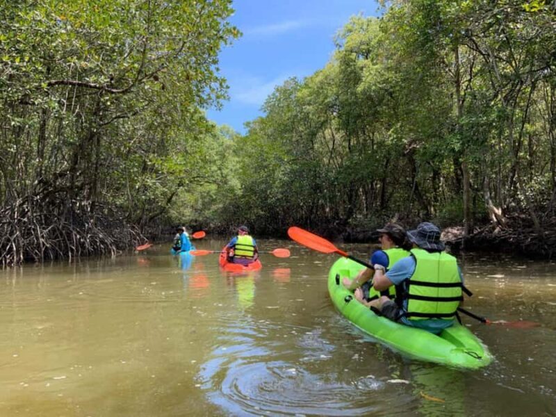 Koh Yao Yai : Mangrove Kayaking Adventure - The Itinerary: What to Expect from the Koh Yao Yai Mangrove Kayaking Tour