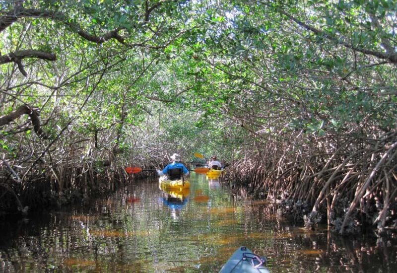 Koh Yao Yai : Mangrove Kayaking Adventure - The Practicalities: What You Need to Know