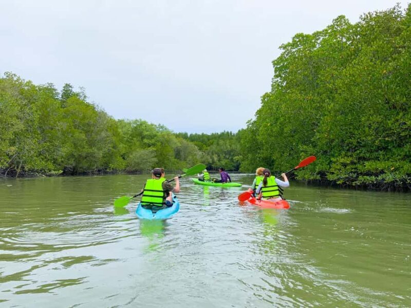 Koh Yao Yai : Mangrove Kayaking Adventure - Who Should Consider This Tour?