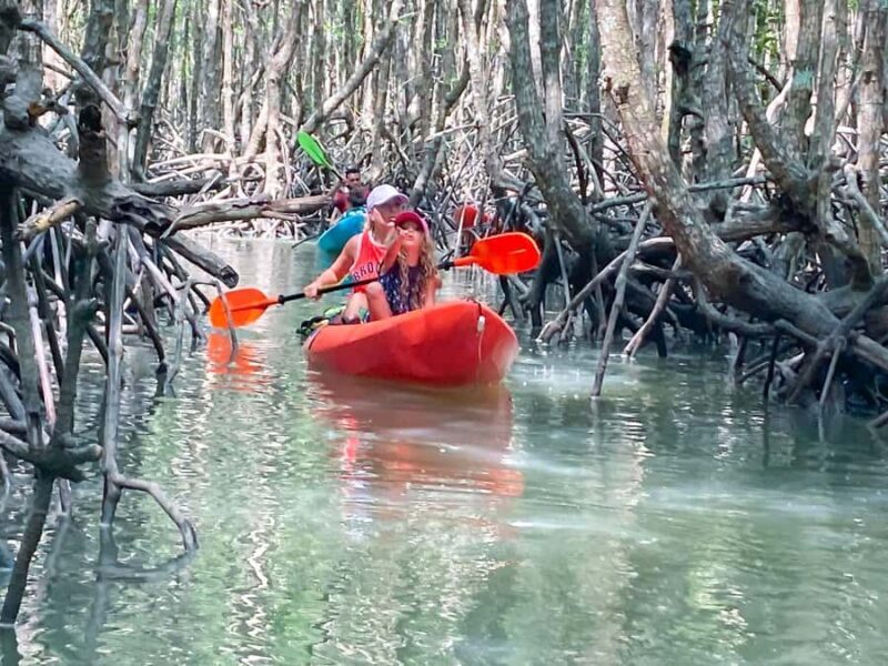 Koh Yao Yai : Mangrove Kayaking Adventure - Final Thoughts: Is This the Right Experience for You?