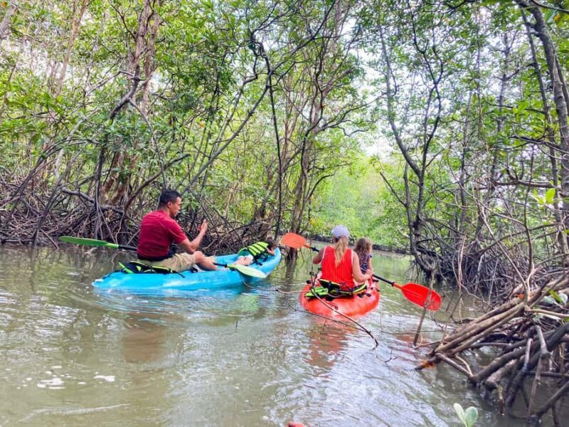 Koh Yao Yai : Mangrove Kayaking Adventure - FAQ: Practical Questions About the Koh Yao Yai Mangrove Kayaking Tour