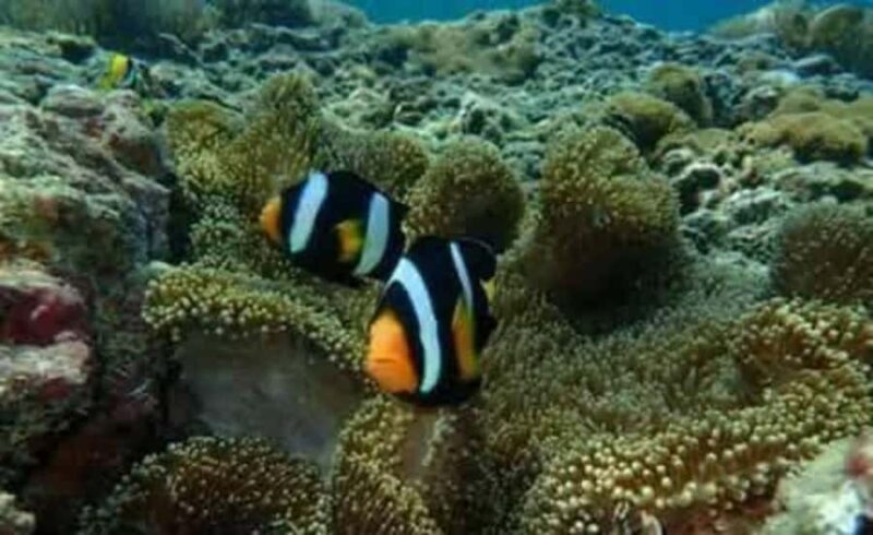 Koh Yao Yai/Noi: Ko Hong & Island Hopping by Long Tail Boat - Exploring Koh Yao Yai/Noi: Ko Hong & Island Hopping by Long Tail Boat