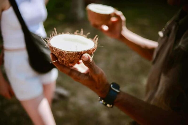 Koh Yao Yai: Options of Community Tour, Ethical Elephant - Final Thoughts  