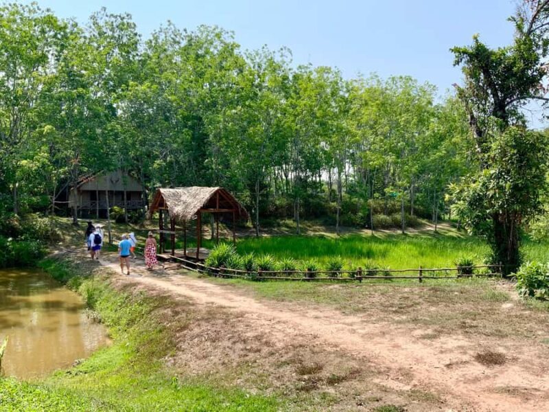 Koh Yao Yai: Options of Community Tour, Ethical Elephant - Deep Dive into the Experience