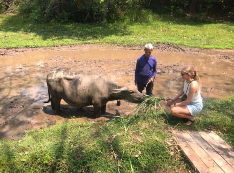 Koh Yao Yai: Options of Community Tour, Ethical Elephant - Final Thoughts