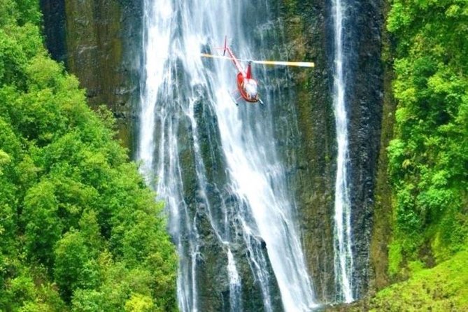 Kohala Volcano, Waterfalls and Coast Private Helicopter Tour  - Big Island of Hawaii - Customer Reviews and Testimonials