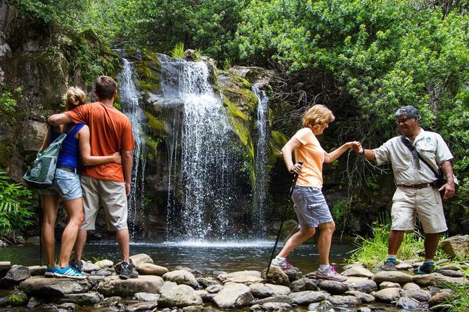 Kohala Waterfalls Small Group Adventure Tour - Positive Experiences With Guides