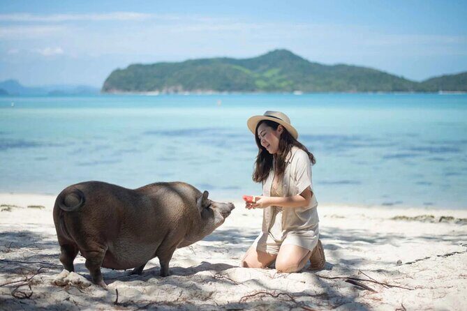 kohsamui.tours - Pig Island Snorkeling Eco Tour by Speed Boat - Who Will Love This Tour?