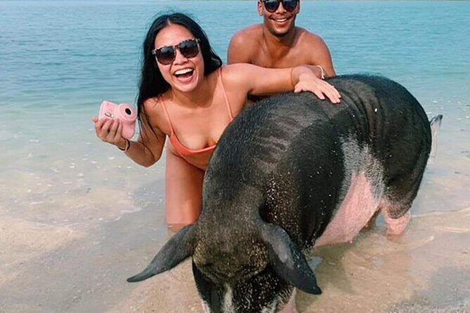 kohsamui.tours - Pig Island Snorkeling Eco Tour by Speed Boat - What Travelers Say