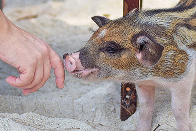 Kohsamui.Tours - Secret Islands Longtail Boat Trip - Weather Conditions and Minimum Travelers