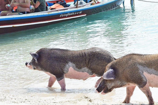Kohsamui.Tours - Secret Islands Longtail Boat Trip - Product Information and Pricing