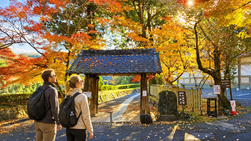Kokeizan Eiho-ji Temple + Oboke Gorge + Ena Gorge + Magome-juku & Tsumago-juku (From Nagoya) - What the guide can add
