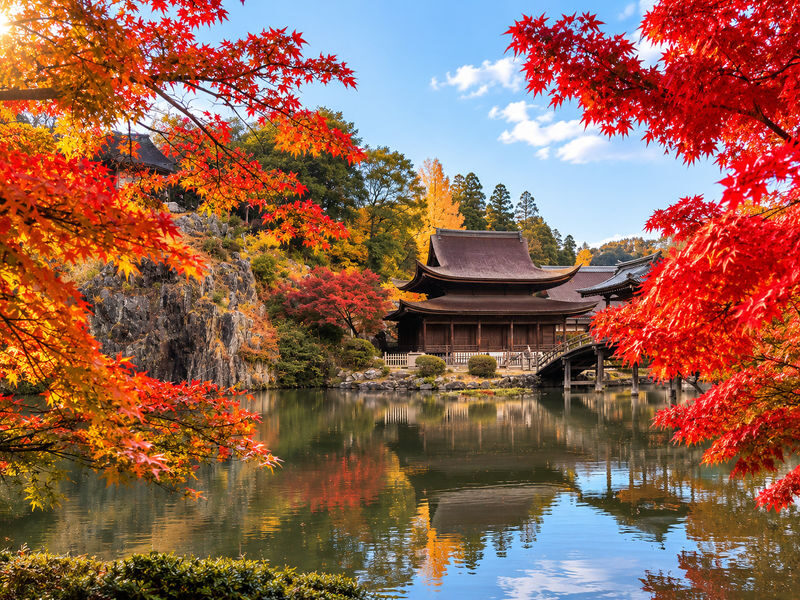 Kokeizan Eiho-ji Temple + Oboke Gorge + Ena Gorge + Magome-juku & Tsumago-juku (From Nagoya) - A coach is the main value