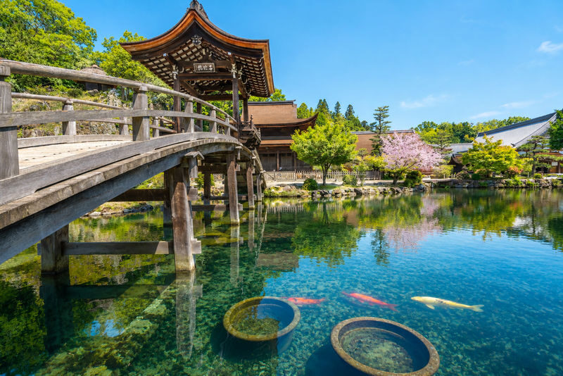 Kokeizan Eiho-ji Temple + Oboke Gorge + Ena Gorge + Magome-juku & Tsumago-juku (From Nagoya) - Who should choose this tour?