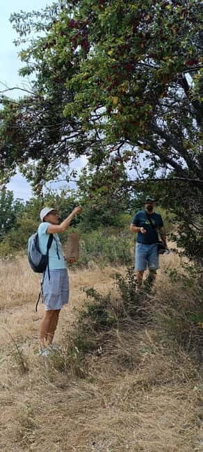 Kokino, Kuklica and Kratovo from Skopje - Stop 3: Kratovo – A Town of Volcanoes and Unique Architecture