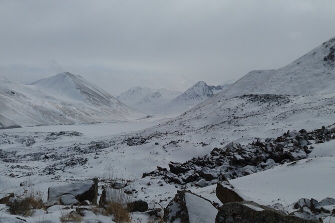 Kol Ukok Lake 2 Days - Response From Host